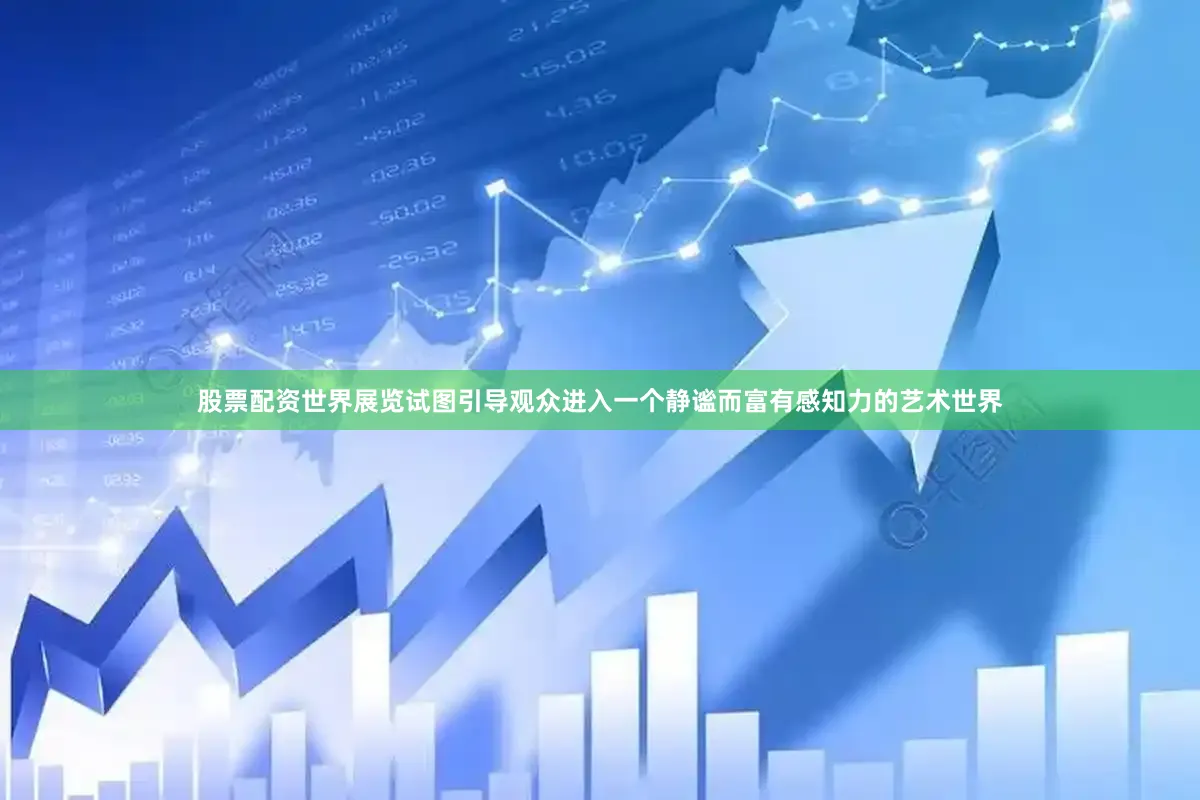 股票配资世界展览试图引导观众进入一个静谧而富有感知力的艺术世界