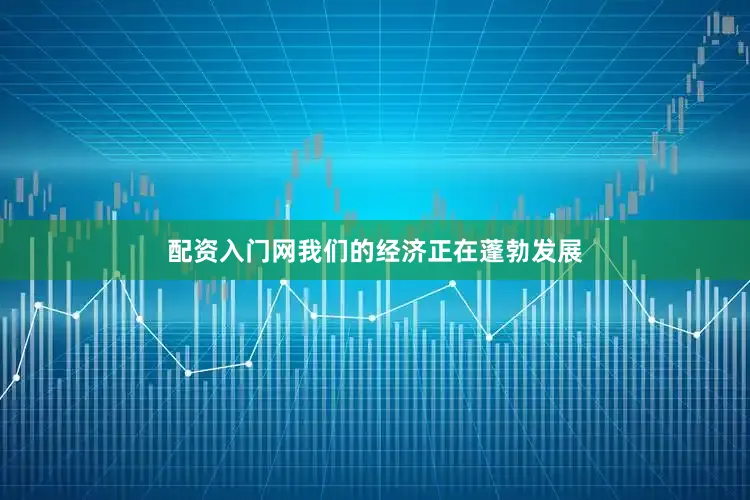 配资入门网我们的经济正在蓬勃发展
