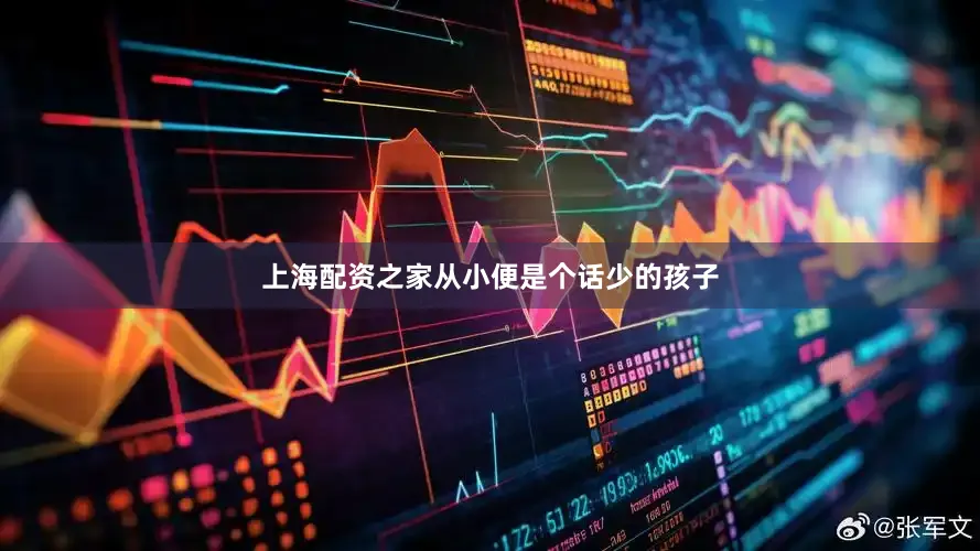 上海配资之家从小便是个话少的孩子
